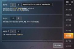 在和平精英里该怎么开外挂（在和平精英里面怎么才能开外挂）