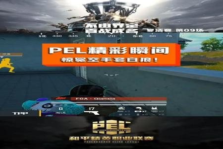 和平精英恶狼辅助怎么用(和平精英白狼怎么用) 和平精英恶狼辅助怎么用(和平精英白狼怎么用)