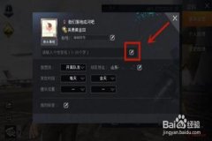 和平精英里怎么搜查外挂（在和平精英里怎么开启外挂）