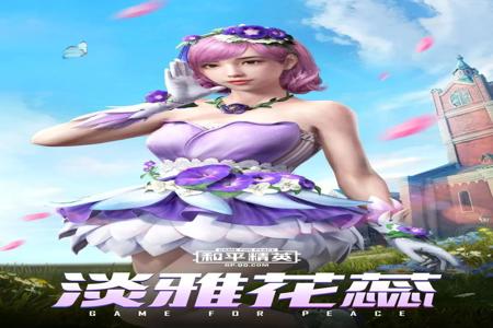 和平精英辅助套装多少钱（和平精英所有套装多少钱）