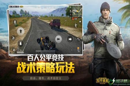 和平精英占比最多的外挂（和平精英淘汰最多的外挂）