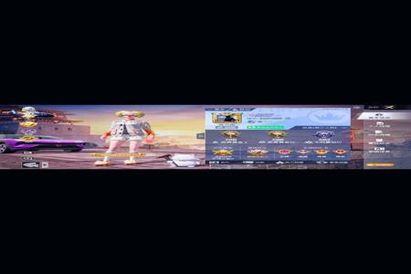 怎么参加和平精英的外挂巡查员（和平精英里面的外挂巡查员）