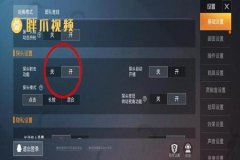 和平精英透视辅助器可以用吗（和平精英辅助器可以用吗）
