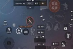 辅助器怎么用和平精英（辅助器和平精英可不可单独使用）