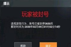和平精英透视辅助器免费不封号（和平精英透视辅助器app封号吗）