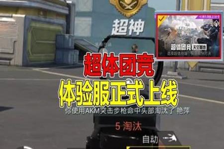 和平精英体验服外挂多不(和平精英体验服外挂有多少) 和平精英体验服外挂多不(和平精英体验服外挂有多少)