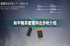 和平精英高端局辅助怎么玩（和平精英高端辅助）