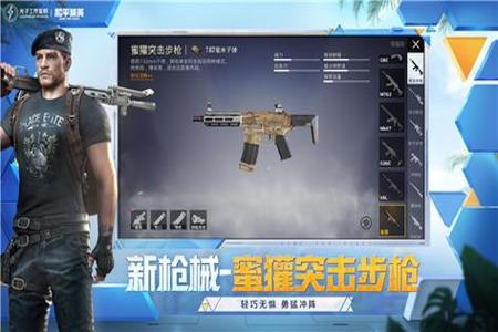 和平精英辅助软件有什么用(和平精英辅助软件有用排行) 和平精英辅助软件有什么用(和平精英辅助软件有用排行)