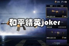 求和平精英免费辅助（和平精英辅助在线）