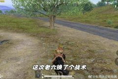 杨易和平精英辅助怎样用（杨易和平精英如何使用）