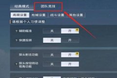 辅助和平精英用哪个好一点（操作设置和平精英用哪个好）