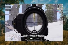 和平精英都带有哪些外挂（和平精英有多少外挂）