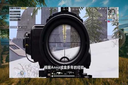 和平精英都带有哪些外挂（和平精英有多少外挂）