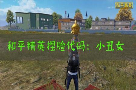 和平精英如何找辅助(和平精英如何辅助好队友) 和平精英如何找辅助(和平精英如何辅助好队友)