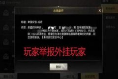 和平精英里面怎么巡查外挂（怎样在和平精英里面巡查外挂）