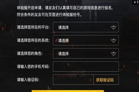 和平精英辅助跳舞工具怎么用(和平精英辅助工具怎么打开) 和平精英辅助跳舞工具怎么用(和平精英辅助工具怎么打开)