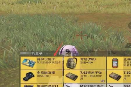和平精英辅助卡密码是什么(和平精英辅助代码是什么) 和平精英辅助卡密码是什么(和平精英辅助代码是什么)