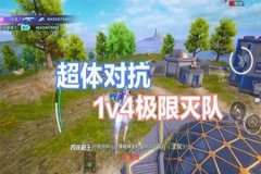 和平精英野王打辅助怎么样（和平精英打野王怎么打）