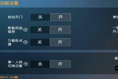 该如何开和平精英外挂（应该如何开和平精英的外挂）