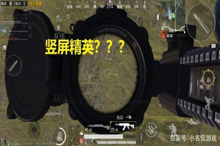 和平精英需要开辅助瞄准吗（和平精英需不需要开辅助瞄准）