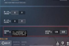和平精英隐形辅助怎么设置（和平精英辅助射击怎么设置）