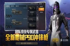 和平精英透视辅助如何购买（和平精英透视辅助是真的吗）