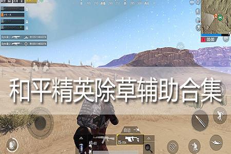 和平精英无名辅助怎么用(和平精英鸡腿辅助要怎么用) 和平精英无名辅助怎么用(和平精英鸡腿辅助要怎么用)