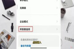 辅助标记和平精英怎么弄（和平精英辅助怎么弄）