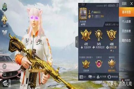 和平精英冲榜要开辅助瞄准嘛(和平精英高星局要开辅助瞄准嘛) 和平精英冲榜要开辅助瞄准嘛(和平精英高星局要开辅助瞄准嘛)
