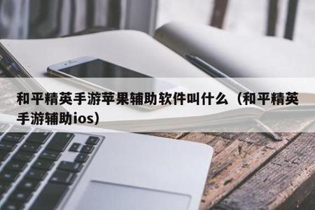 和平精英打游戏辅助器苹果(和平精英游戏辅助软件苹果) 和平精英打游戏辅助器苹果(和平精英游戏辅助软件苹果)