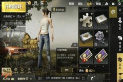 红狐多功能辅助和平精英（关闭辅助瞄准和平精英）