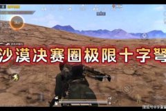电脑和平精英要不要开辅助瞄准（和平精英要不要开辅助瞄准职业）