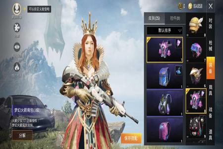 安妮辅助怎么用和平精英（安妮辅助怎么给盾）
