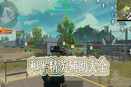 和平精英鸡腿辅助哪个好（和平精英辅助神器哪个好）
