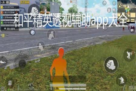 和平精英里的辅助哪里买的（和平精英的辅助按键在哪里）
