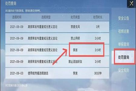 如何设置和平精英的外挂（如何使用和平精英外挂）
