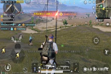 外挂怎么做和平精英（怎么做物理外挂和平精英）