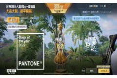 和平精英高级辅助有哪些（和平精英辅助功能有哪些）